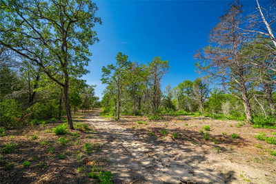 1247 Sand Hills Road — photo 5