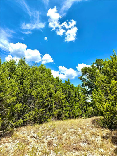 886 Mimosa Ct — photo 4
