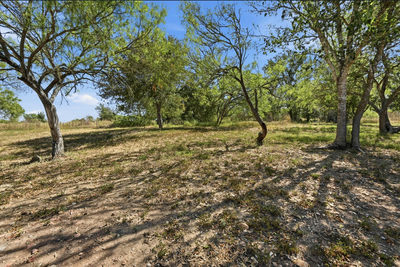 871 Political Rd — photo 2