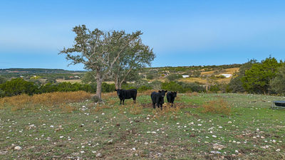 4237 County Road 330 Rd — photo 4