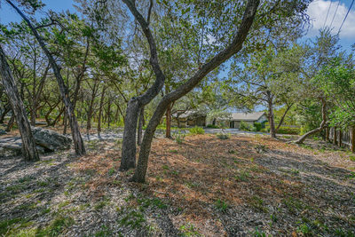 1403 Redbud Trl — photo 2