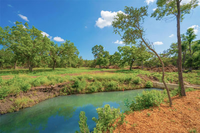 0 Spring Haven Ranch — photo 2