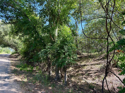 342 Riverside Dr — photo 3