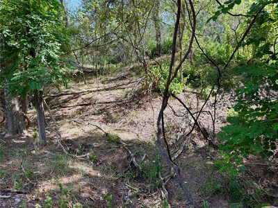 342 Riverside Dr — photo 4