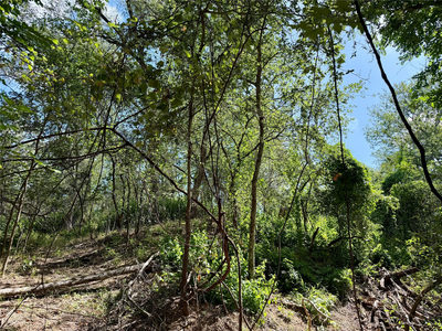 342 Riverside Dr — photo 5