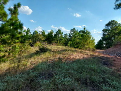 909 Hana Court St — photo 2