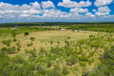 8804 Williamson Rd — photo 4
