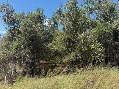 TBD Kawainui Ln — photo 4