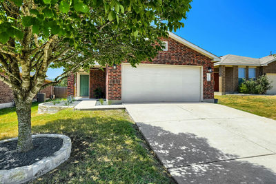 137 Pine Arbol — photo 2