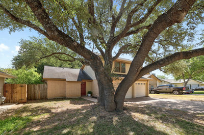 706 Milton Cv — photo 3