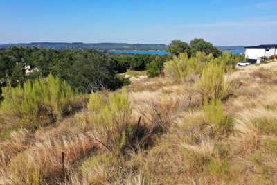 5003 Weletka Dr — photo 4
