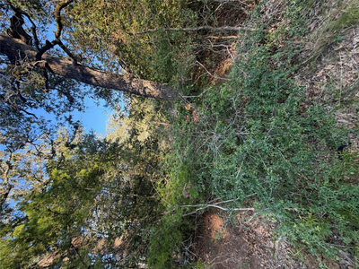 Lot 194 Kaelepulu Dr — photo 2