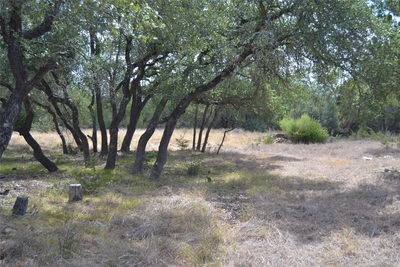 270 Gant Rd — photo 3