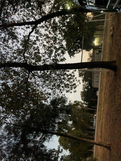 103 Azalea Ave — photo 2