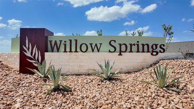 10205 Pink Billed Cuckoo Dr — photo 5