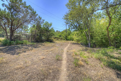 355 E Clark St — photo 3