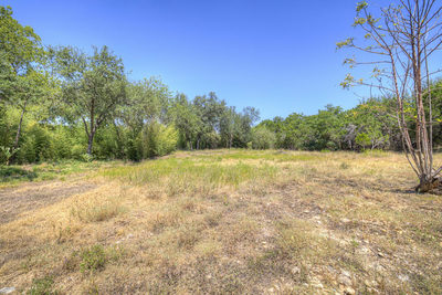 355 E Clark St — photo 5