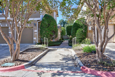 16100 Great Oaks Dr S #1103 — photo 3