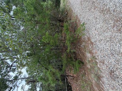 Lot 216 Hekili Dr — photo 2