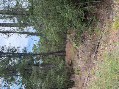 Lot 217 Hekili Dr — photo 4