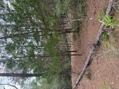 Lot 217 Hekili Dr — photo 5
