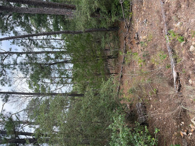 Lot 217 Hekili Dr — photo 3