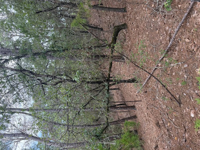 Lots 213 and 214 Hekili Dr — photo 3