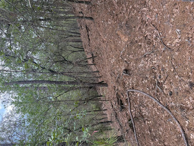 Lots 213 and 214 Hekili Dr — photo 5