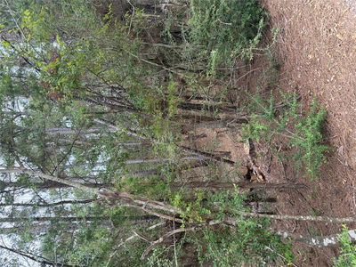 Lots 213 and 214 Hekili Dr — photo 2