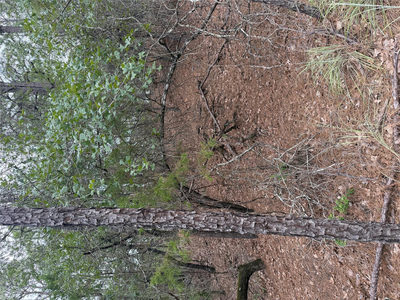 Lots 213 and 214 Hekili Dr — photo 4