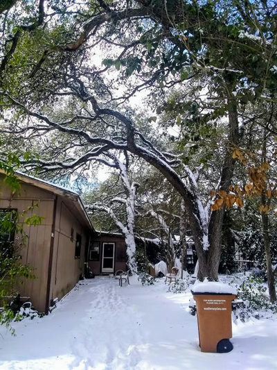 8002 PERSIMMON Trl — photo 4