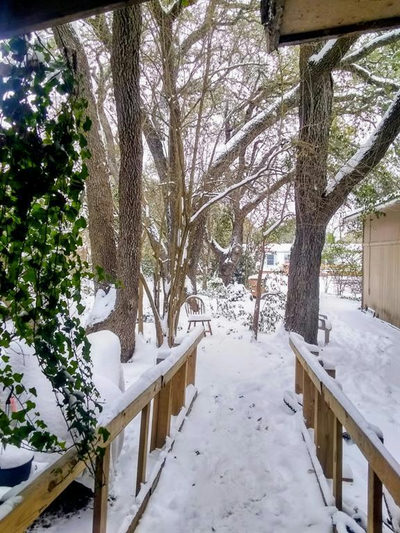 8002 PERSIMMON Trl — photo 5