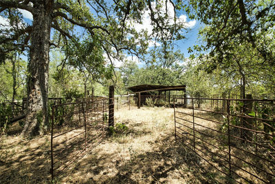 7780 Taylorsville Rd. — photo 2