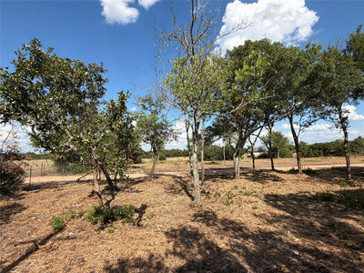 7257 CR 252 — photo 5