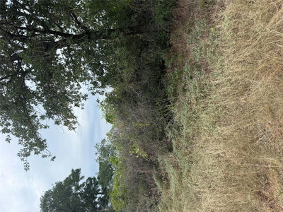 Lot 236 Kaelupulu Dr — photo 3