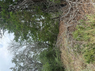 Lot 236 Kaelupulu Dr — photo 4