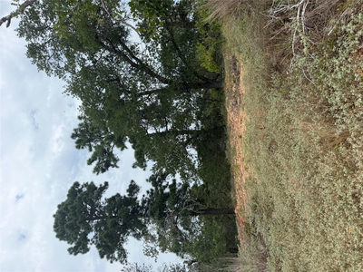 Lot 237 Kaelupulu Dr — photo 2