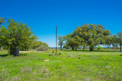0 Paleface Ranch Rd S — photo 3