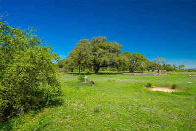 0 Paleface Ranch Rd S — photo 4