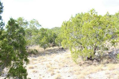 28808 Rim Rock Rd — photo 4