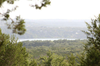 28808 Rim Rock Rd — photo 2