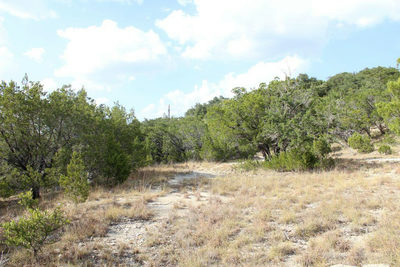 28808 Rim Rock Rd — photo 3