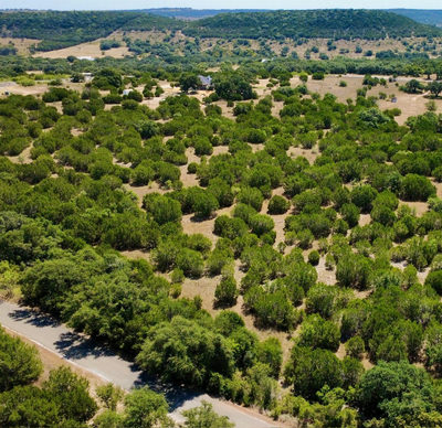 Lot 317 Ash Juniper Way — photo 3