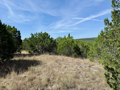 Lot 317 Ash Juniper Way — photo 5