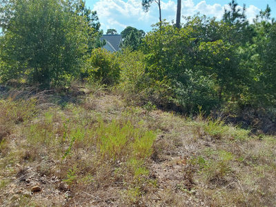 128 Mokalau Dr — photo 2