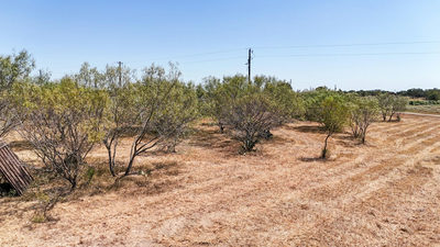 4049 Old Colony Line Rd — photo 5
