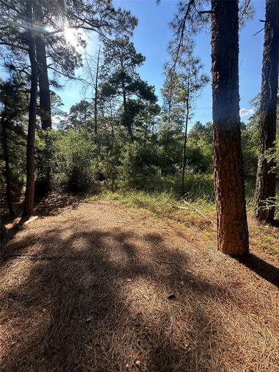 0 Pine Oak Dr — photo 2