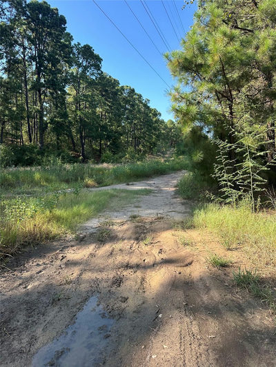 0 Pine Oak Dr — photo 4