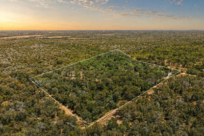 388 The Forest Rd — photo 3