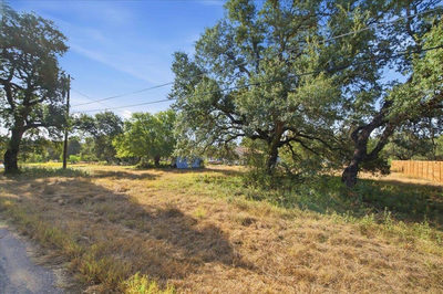 23001 Spanish Oak Trl — photo 5